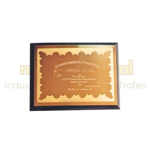Imagen de Placa de reconocimiento - M3.107